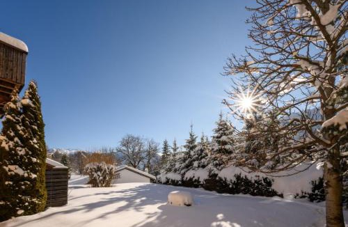 Ovronnaz Ski Chalet | Chalet Le Chamois Vert by Interhome