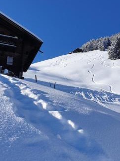 Val d'Illiez Ski Chalet | Chalet le Grenier des Crosets, Vue exceptionnelle sur les Dents du Midi
