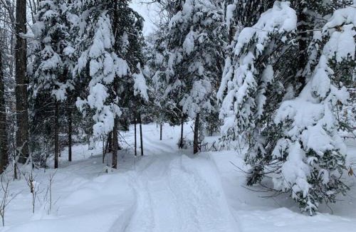 Saint Zenon Ski Chalet | Chalet le Huard directement au bord du lac