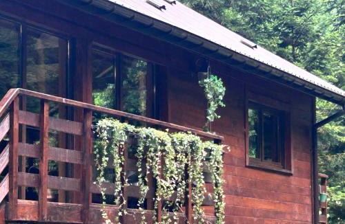 Wisches Ski Chalet | Chalet : le moulin du sagard