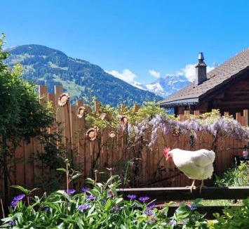 Les Posses-sur-Bex Ski Chalet | Chalet le Muveran
