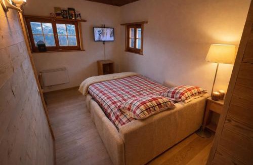 Chermignon Ski Chalet | Chalet Le Petit Nid - Crans Montana