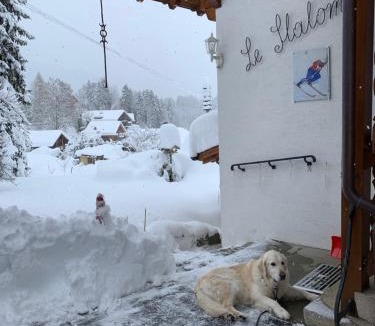 Arveyes Apartment | Chalet Le Slalom