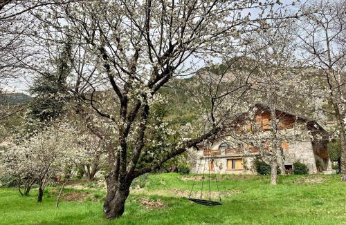 Valdeblore Bed & Breakfast | Chalet Le Tilleul