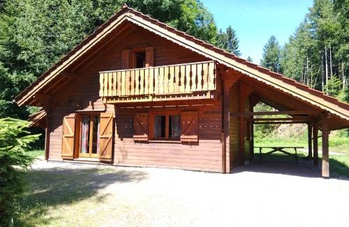 Basse-sur-le-Rupt Ski Chalet | chalet Leon