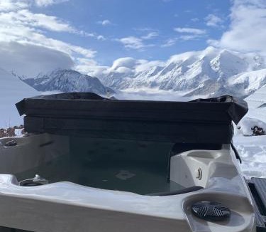 Villard-Reculas Ski Chalet | Chalet Les Ecrins