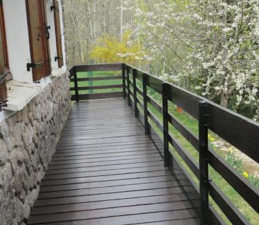 Saint-Jacques-des-Blats House | Chalet les Eglantines