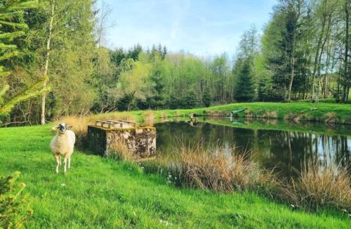 Gerbepal Ski Chalet | Chalet les Jales, Jacuzzi