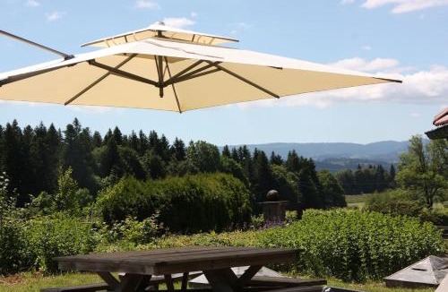 Damprichard Ski Chalet | Chalet les Pounets