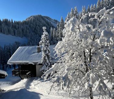 Champoussin Apartment | Chalet LYS Apartment 14 Rue Sigma