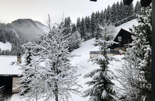 Champoussin Apartment | Chalet LYS Apartment 14 Rue Sigma