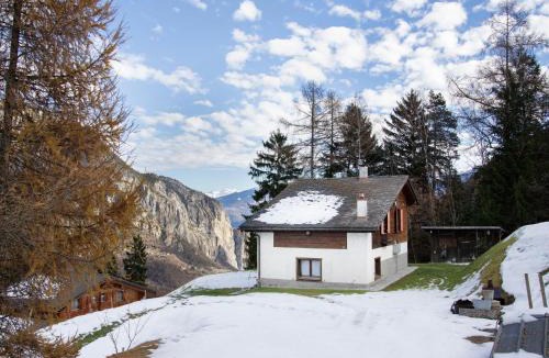 Chamoson Ski Chalet | Chalet Mélèze 1967 by Interhome
