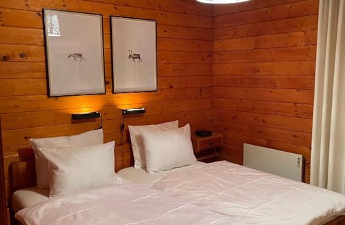 Les Mayens-de-Sion Ski Chalet | Chalet Mirabeau - Magnificent View & 4 Valley Skiing