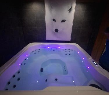 Flumet Apartment | Chalet Mon Idole Spa