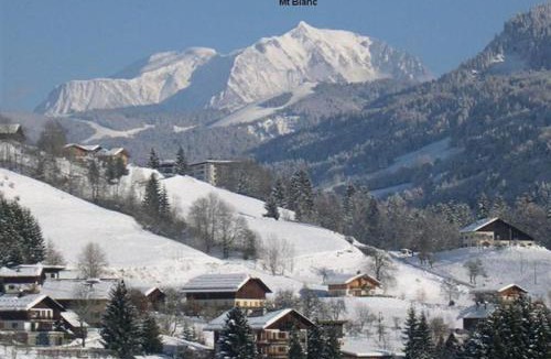 Flumet Apartment | Chalet Mon Idole Spa