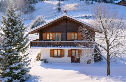 Blitzingen Ski Chalet | Chalet Mon Reve