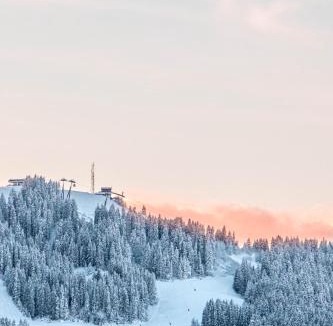 Le Planellet Ski Chalet | Chalet Mont d'Arbois Ski et Golf