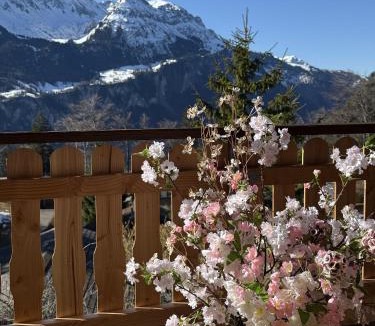Bruenig Ski Chalet | Chalet Montana mit Bergblick