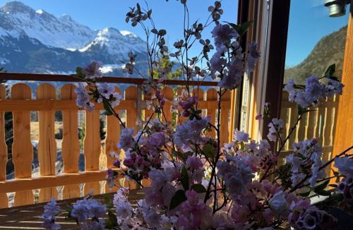 Bruenig Ski Chalet | Chalet Montana mit Bergblick