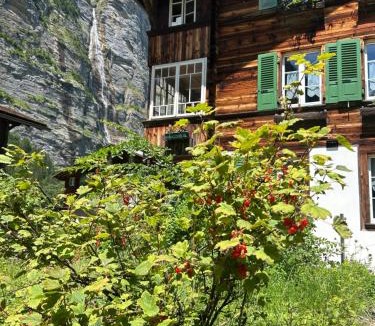 Stechelberg Apartment | Chalet Montes