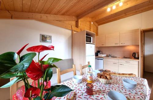 Usson-en-Forez House | Chalet nature, animaux admis - 6 pers. - FR-1-496-391