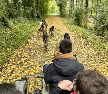 Echire House | Chalet Nature & chiens de traîneaux