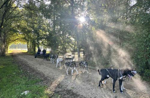 Echire House | Chalet Nature & chiens de traîneaux