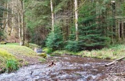 Raon-sur-Plaine Ski Chalet | Chalet Notcimick