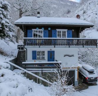 Breiten Ski Chalet | Chalet Okkernoot