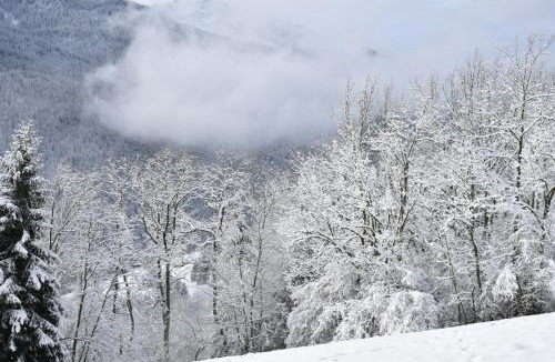 Champ-Laurent Ski Chalet | Chalet paisible en pleine nature - Sauna & jeux