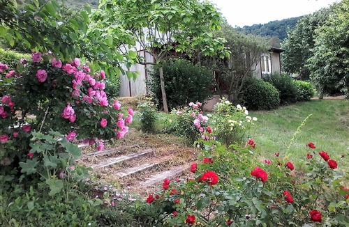 Clairvaux-d'Aveyron Ski Chalet | Chalet Palace Manège