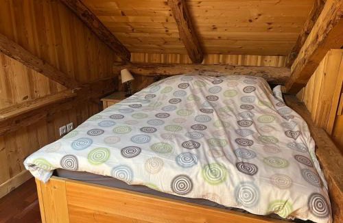 La Celle-sous-Gouzon Ski Chalet | Chalet Prodains