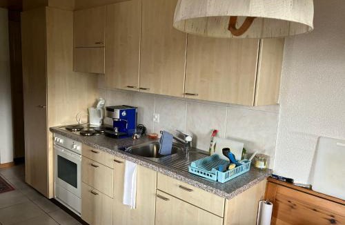 Rosswald Apartment | Chalet Pulsatilla