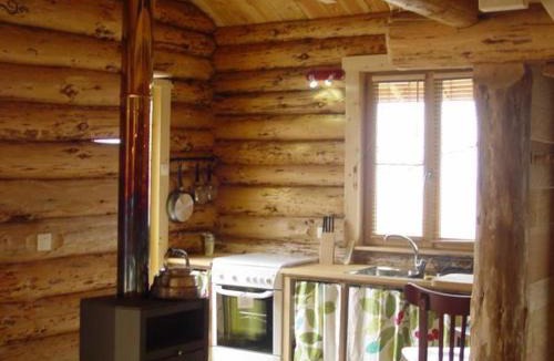 Saint-Martin-la-Sauvete House | Chalet rustique avec poêle à bois - 3 pers, animaux admis - FR-1-496-187
