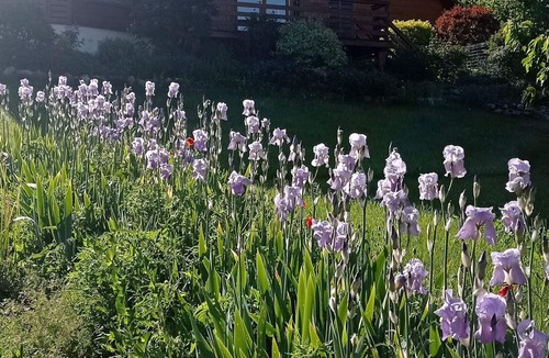 Les Sagnieres Ski Chalet | Chalet Sérénité - 1180m