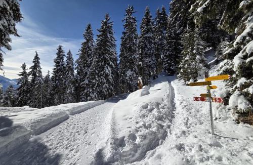 Vex Ski Chalet | Chalet Ski in&out