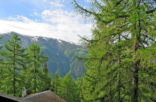 Bellwald House | Chalet Soldanella (BEL205) by Interhome