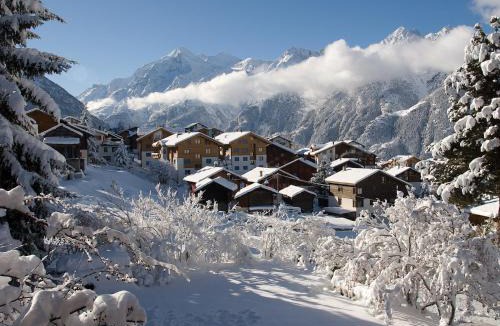 Graechen Apartment | Chalet Soldanella