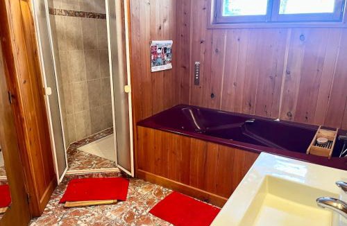 Savignac-les-Ormeaux Ski Chalet | Chalet spa bath fireplace ski-in out