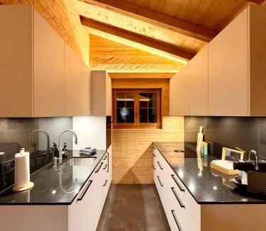 Blausee Apartment | Chalet Spatz Loft with Sauna Kandersteg Oeschinen Lake