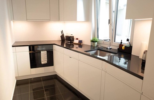 Oberstrass Apartment | Chalet Suite · 3 BR Home bei ETH & Uni