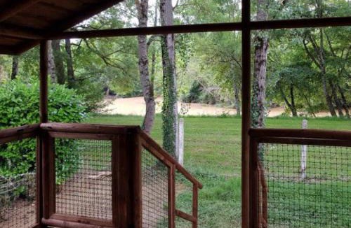 Moncrabeau Other | Chalet sur pilotis avec terrasse pour 2 personnes - API-1-52-293