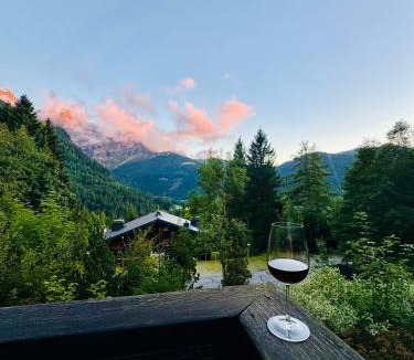 Ormont-Dessus Apartment | Chalet Toccata, cosy et lumineux