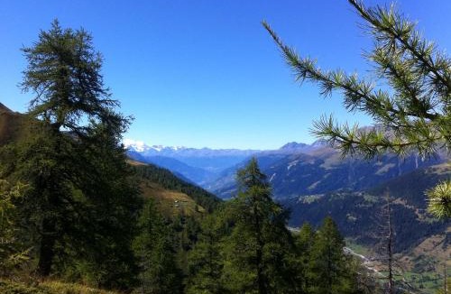 Ulrichen Ski Chalet | Chalet Truffer Ulrichen