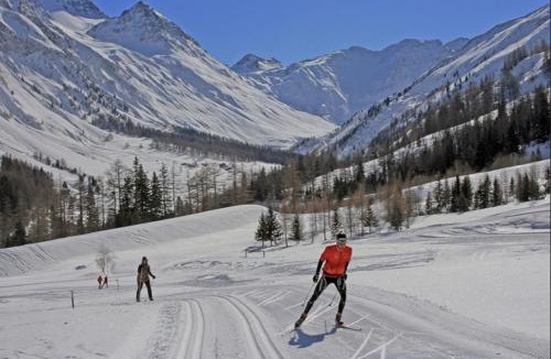 Saleinaz House | Chalet Val Ferret ideal for TMB, Hiking, Panorama