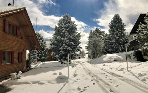 Flums Ski Chalet | Chalet Valdonga
