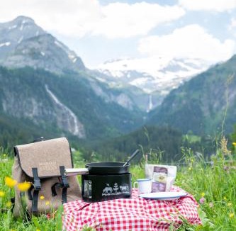 Chateau-d'Oex Apartment | Chalet Valentina