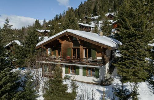 Champex-Lac Ski Chalet | Chalet Veni- Vidi- Mansi by Interhome