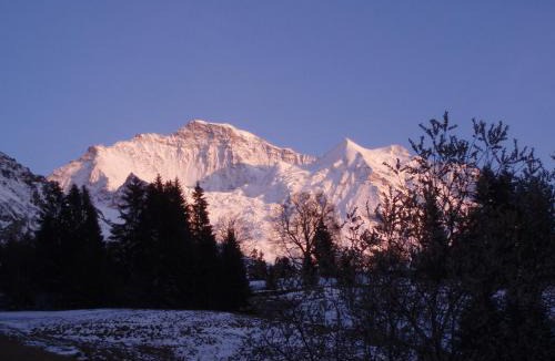 Wengen Apartment | Chalet Viola - Verena's Loft
