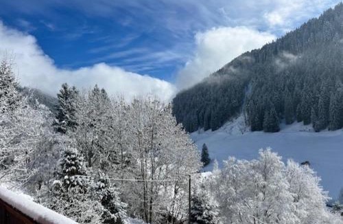 Morgins Apartment | Chalet Violeta